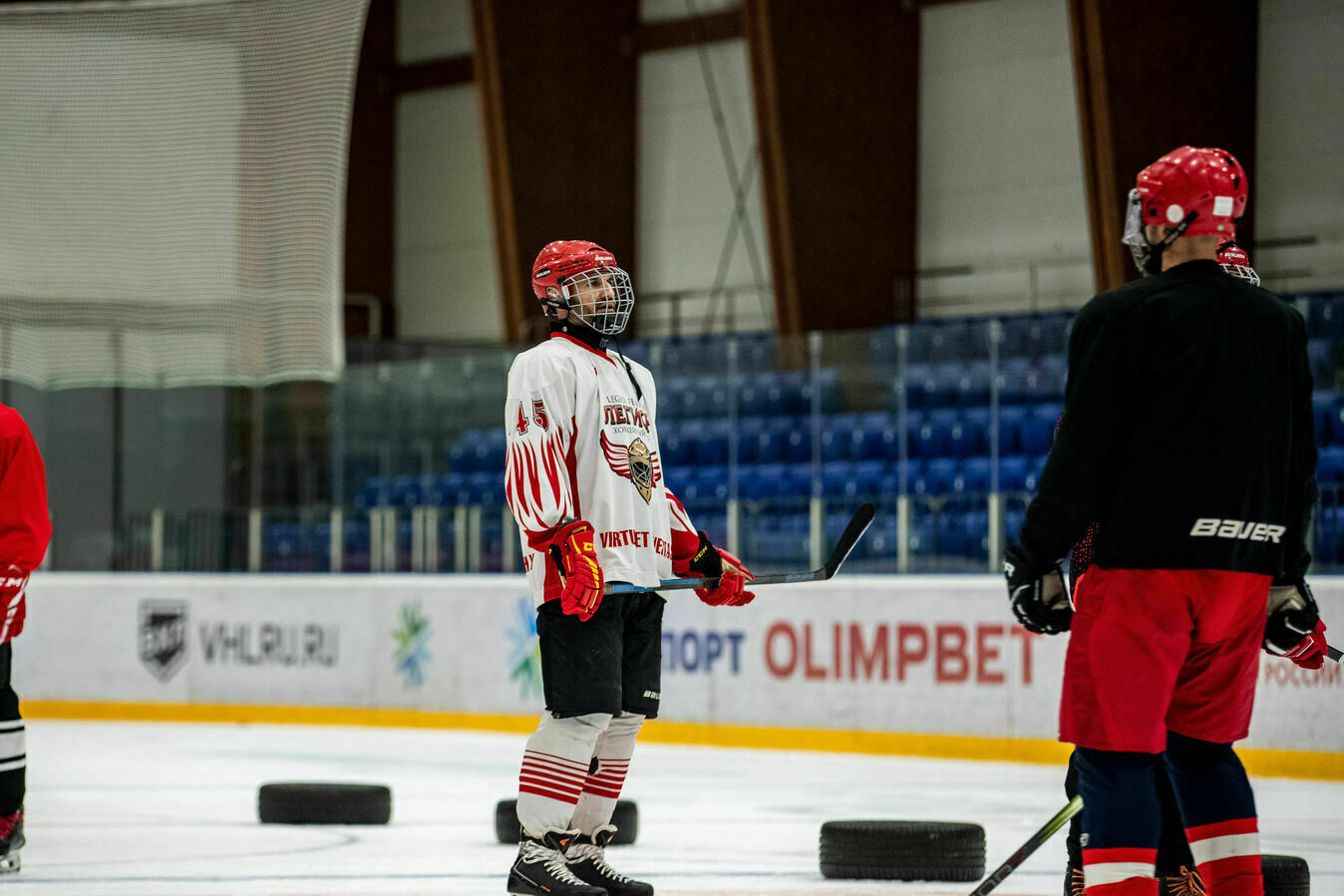 Описание изображения